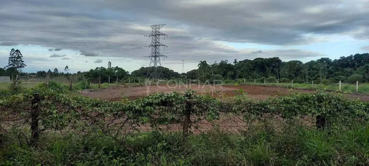 terreno em Areia Pequena, Joinville - REF 00010